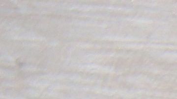 shutterstock_1009921204