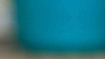 ¿Tu ex se portó como una cucaracha?