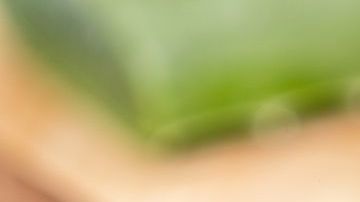 La sábila es popular por sus propiedades antioxidantes y antibacterianas.