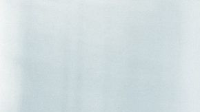 shutterstock_1060449161