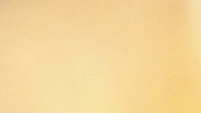 shutterstock_1064490332