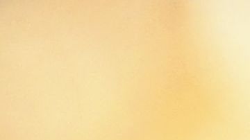 shutterstock_1064490332