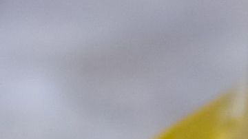 shutterstock_1081277720