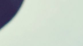 Revisó el teléfono de su novia y descubrió la verdad.