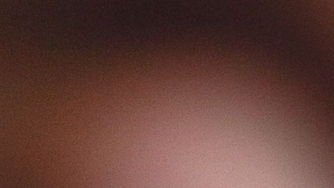 shutterstock_1116037196