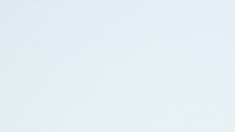 shutterstock_1164401245