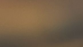 shutterstock_1165365919