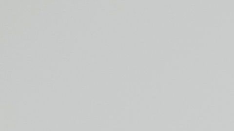 shutterstock_1197102778