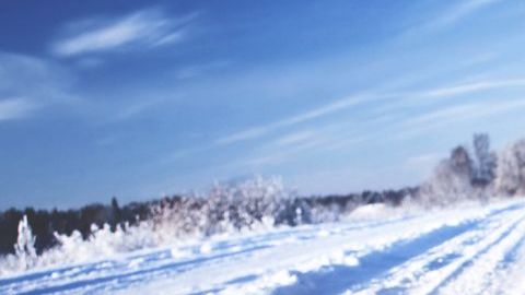 shutterstock_1203904363