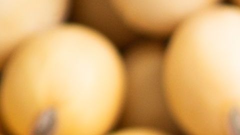 shutterstock_1226419756