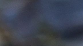 shutterstock_1284683578