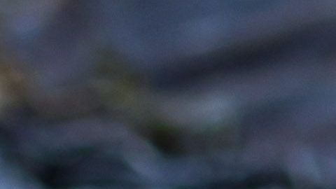 shutterstock_1284683578