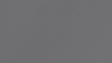 shutterstock_1299481288