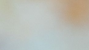 shutterstock_1363511789