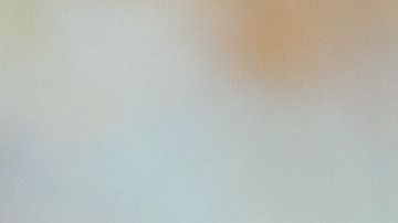 shutterstock_1363511789