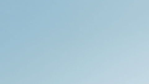 Todo dependerá de la actividad elegida.