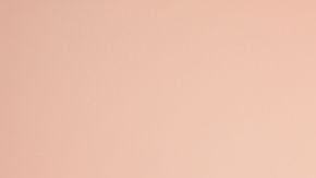 shutterstock_1483138139