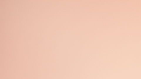 shutterstock_1483138139