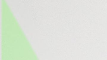 shutterstock_1531599680