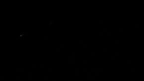 El tatuador no tenía experiencia en ese tipo de trabajos.