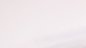 La visa H-2A es para trabajadores temporales.