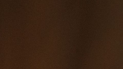 shutterstock_205957348