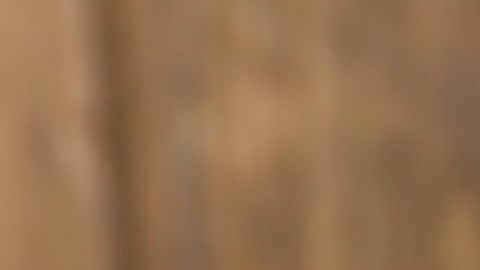 Las ciruelas contienen una buena cantidad de hierro, por lo que son un gran aliado natural para tratar la anemia.