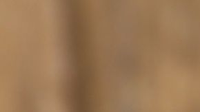 shutterstock_219714751