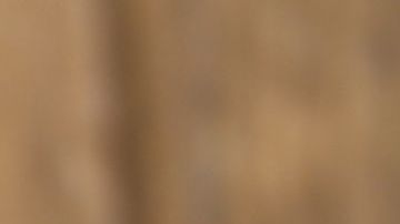 shutterstock_219714751