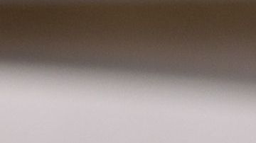 Enseñarle a tu perro dónde debe hacer sus necesidades suele ser complicado.