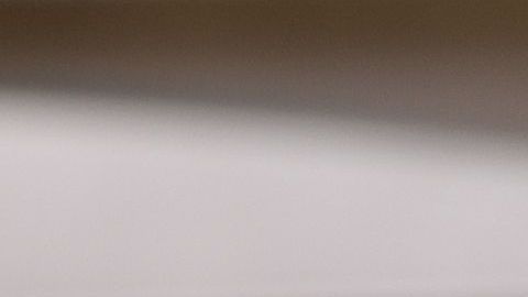 Enseñarle a tu perro dónde debe hacer sus necesidades suele ser complicado.