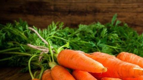 Debido a su contenido en potasio y fósforo la zanahoria es un excelente vigorizante para mentes cansadas estados nerviosos.