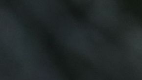 Los osos se comportaron como si fueran niños.