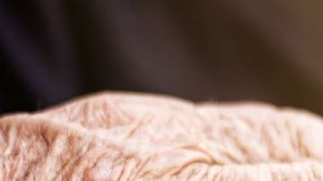 El anciano enfrenta hasta 20 años de prisión.