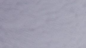 shutterstock_312788483