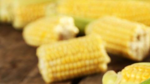 El consumo de maíz está altamente recomendado para personas que desean bajar de peso.