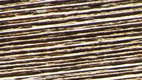 shutterstock_370832411