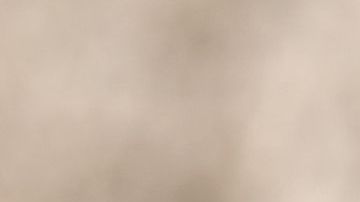 shutterstock_391474411