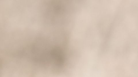 shutterstock_391474411