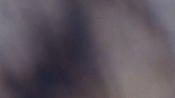 shutterstock_408082588