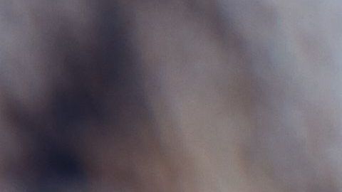 shutterstock_408082588