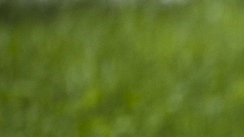 shutterstock_493296514