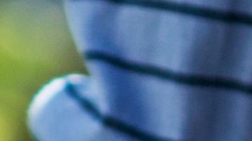 shutterstock_496115566