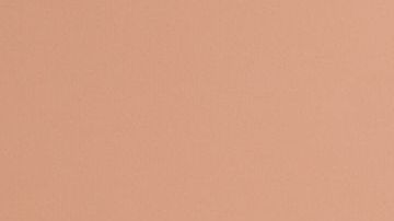 shutterstock_506253679