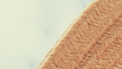 shutterstock_506702851