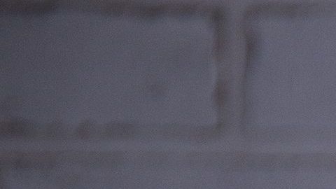 shutterstock_535119934