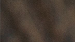 shutterstock_554601856