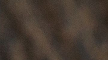 shutterstock_554601856