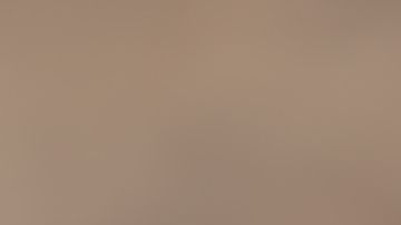 shutterstock_559549843