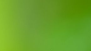 shutterstock_561197323